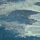 West Greenland coast