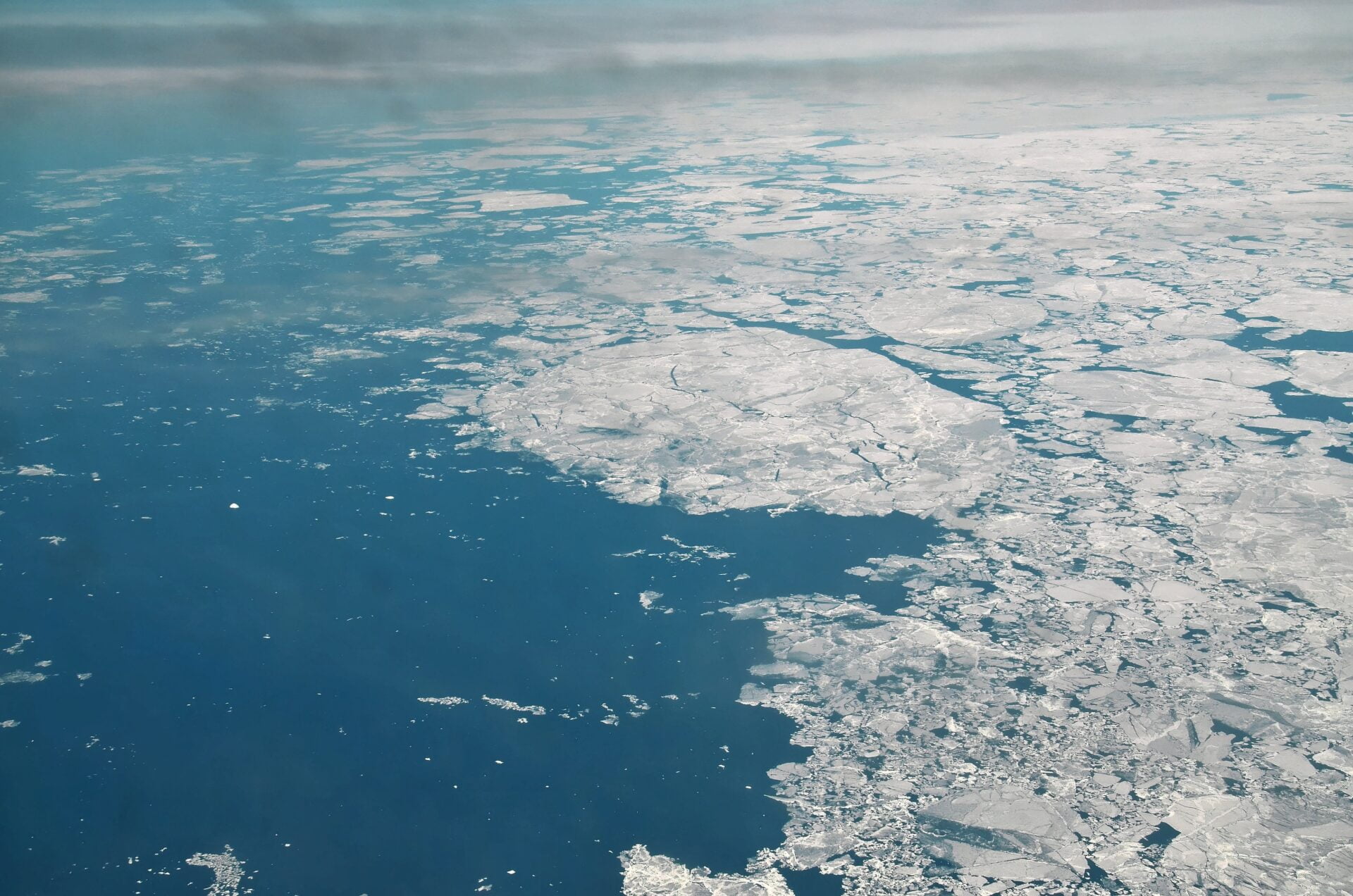 DNA-abbauende Mikroorganismen aus Sedimenten Grönlands identifiziert