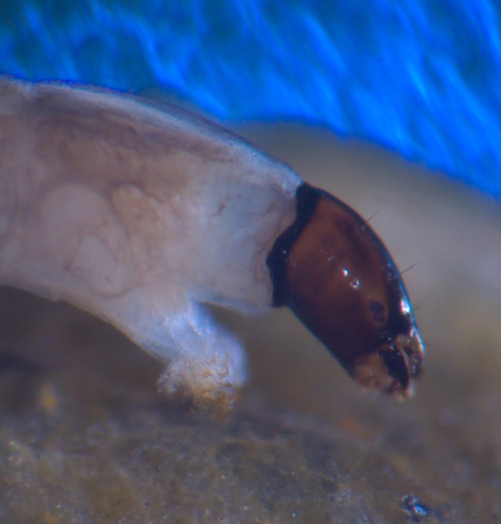 Polar Talk #10 (in German)